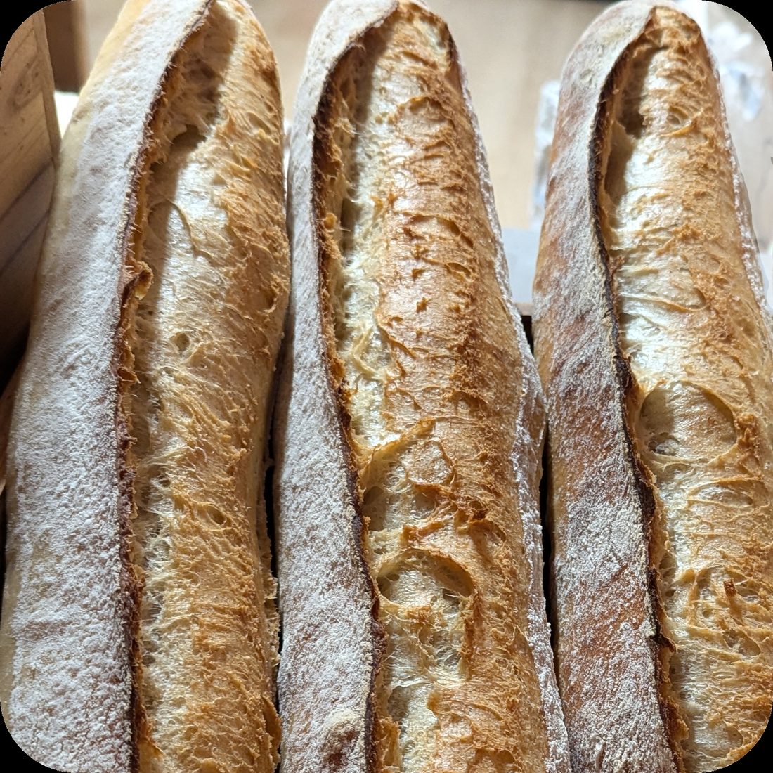Nos pains au levain sortis du four