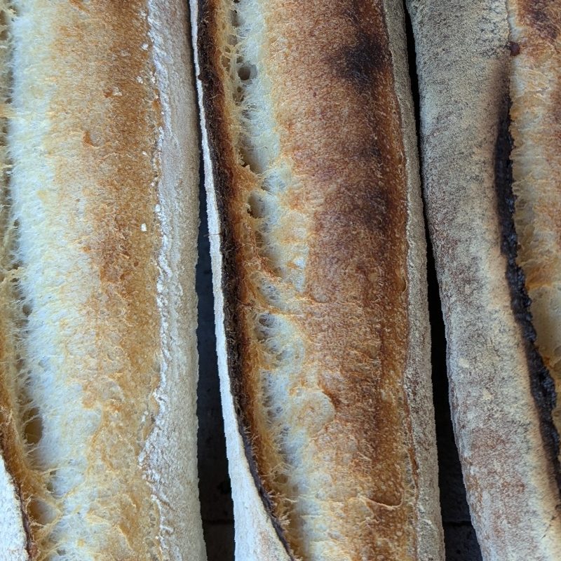 Flûte Tradition